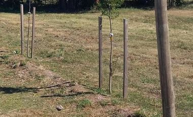 Venta Terreno Longchamps - Lote Barrio 