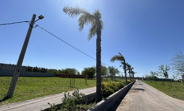 Venta Terreno Longchamps - Lote Barrio 