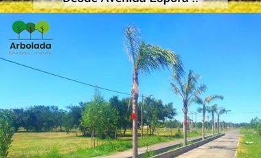 Venta Terreno Longchamps - Lote Barrio 