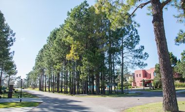 Casa en La Lomada sobre lote central – 3 cuartos en suite  Diseño moderno