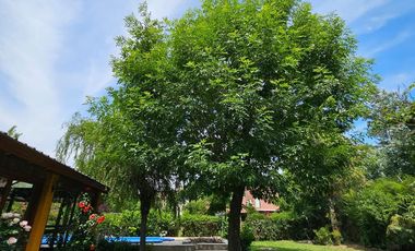 Casa en  VENTA EN PARQUE LAS NACIONES