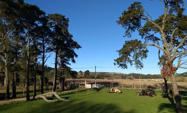 CAMPO EN VENTA PROVINCIA DE BUENOS AIRES RUTA 226