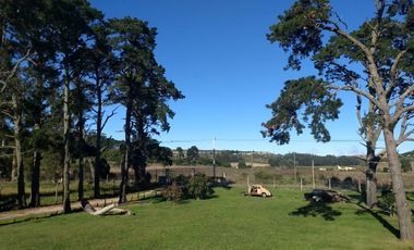 CAMPO EN VENTA PROVINCIA DE BUENOS AIRES RUTA 226