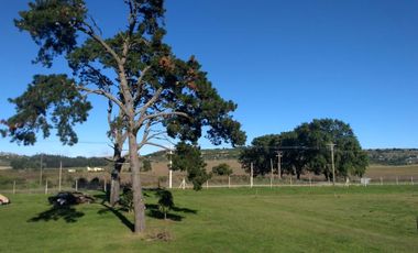 CAMPO EN VENTA PROVINCIA DE BUENOS AIRES RUTA 226