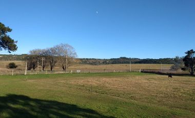 CAMPO EN VENTA PROVINCIA DE BUENOS AIRES RUTA 226