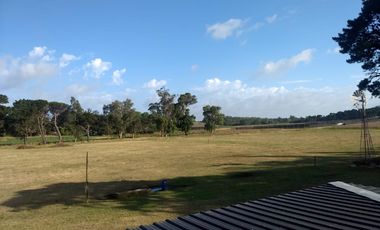 CAMPO EN VENTA PROVINCIA DE BUENOS AIRES RUTA 226