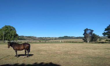 CAMPO EN VENTA PROVINCIA DE BUENOS AIRES RUTA 226