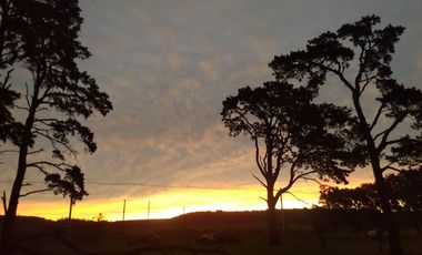 CAMPO EN VENTA PROVINCIA DE BUENOS AIRES RUTA 226