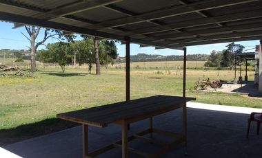 CAMPO EN VENTA PROVINCIA DE BUENOS AIRES RUTA 226