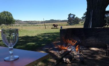 CAMPO EN VENTA PROVINCIA DE BUENOS AIRES RUTA 226