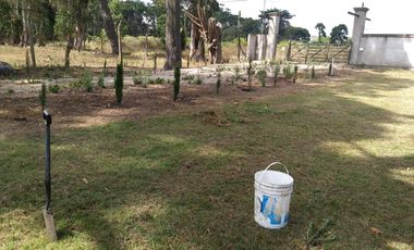 CAMPO EN VENTA PROVINCIA DE BUENOS AIRES RUTA 226