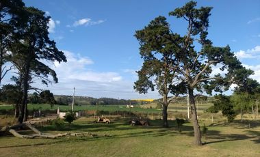 CAMPO EN VENTA PROVINCIA DE BUENOS AIRES RUTA 226