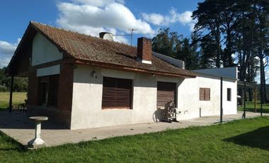 CAMPO EN VENTA PROVINCIA DE BUENOS AIRES RUTA 226