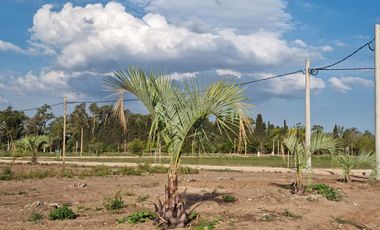 Venta Terreno Longchamps - Lote Barrio 