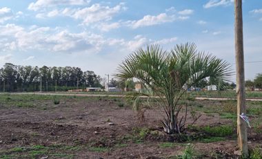 Venta Terreno Longchamps - Lote Barrio 