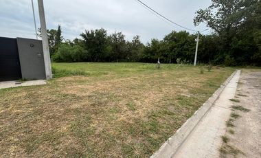 CALLE 11 - FINCAS DE IBARLUCEA