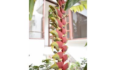 Casa en el centro histórico