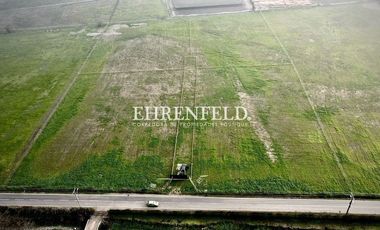 San Isidro, Quillota. Terrenos en Venta.
