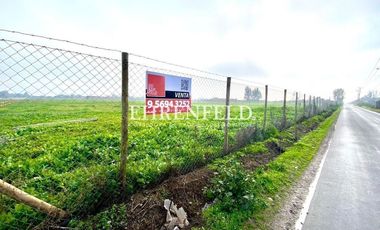 San Isidro, Quillota. Terrenos en Venta.