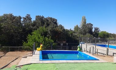 RUTA G-962 F / RUTA G 974