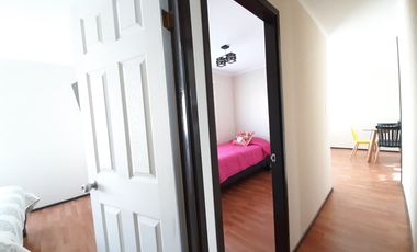 RUTA G-962 F / RUTA G 974