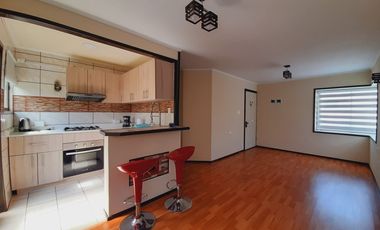 RUTA G-962 F / RUTA G 974