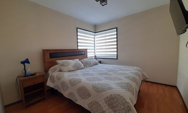 RUTA G-962 F / RUTA G 974