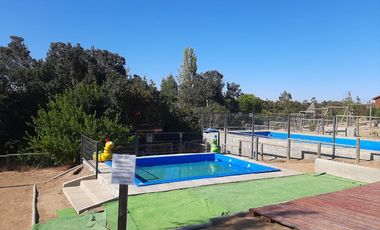 RUTA G-962 F / RUTA G 974