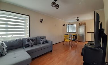 RUTA G-962 F / RUTA G 974