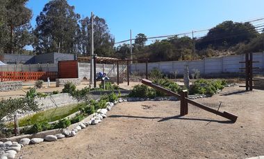 RUTA G-962 F / RUTA G 974