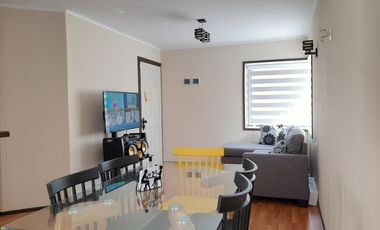 RUTA G-962 F / RUTA G 974