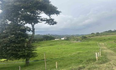 FINCA EN VENTA EN ULLOA/PEREIRA