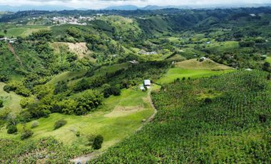 FINCA EN VENTA EN ULLOA/PEREIRA