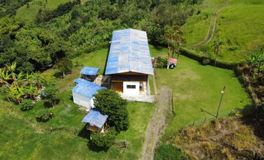 FINCA EN VENTA EN ULLOA/PEREIRA