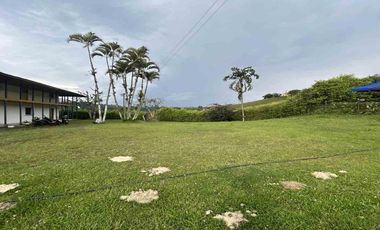 FINCA EN VENTA EN ULLOA/PEREIRA