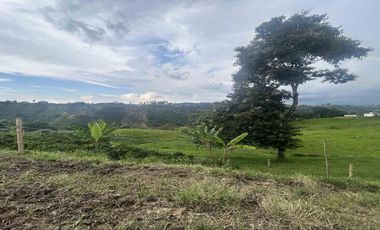 FINCA EN VENTA EN ULLOA/PEREIRA