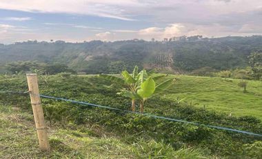FINCA EN VENTA EN ULLOA/PEREIRA