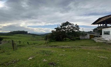 FINCA EN VENTA EN ULLOA/PEREIRA