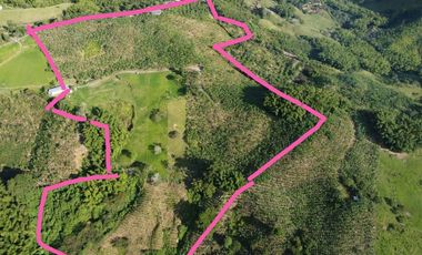 FINCA EN VENTA EN ULLOA/PEREIRA