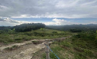 FINCA EN VENTA EN ULLOA/PEREIRA