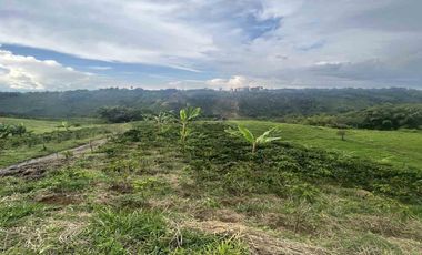 FINCA EN VENTA EN ULLOA/PEREIRA