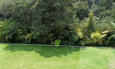 CASA EN VENTA EN HERMOSO FRACCIONAMIENTO ARBOLADO