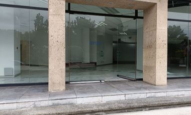 Estupendo Local Comercial en Renta