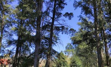 Venta | Terreno con Doble Acceso 920m2 | Guernica | San Vicente