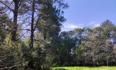 Venta | Terreno con Doble Acceso 920m2 | Guernica | San Vicente