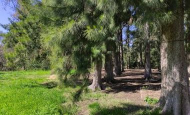 Venta | Terreno con Doble Acceso 920m2 | Guernica | San Vicente