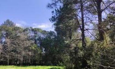 Venta | Terreno con Doble Acceso 920m2 | Guernica | San Vicente