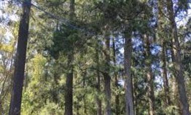 Venta | Terreno con Doble Acceso 920m2 | Guernica | San Vicente