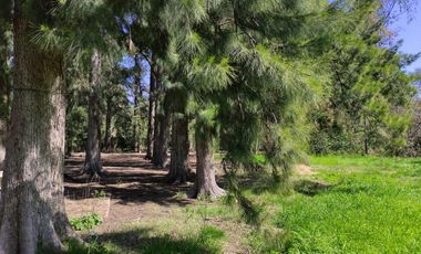 Venta | Terreno con Doble Acceso 920m2 | Guernica | San Vicente