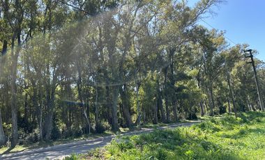 Venta Terreno Longchamps - Lote Barrio 